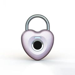 Mini Fingerprint Lock Child Safety Cabinet Locks for Babies Pad Lock - Image 2