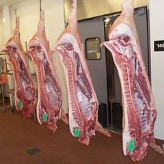 Wholesale Frozen Pork Meat  - Image 1