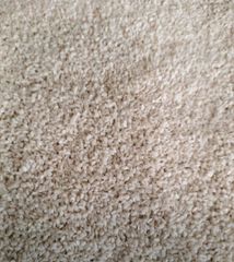 Sesame Seed – product photo 1, product detail gallery