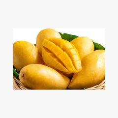 Excellent Quality Mango For Eating At Supplier – product photo 1, product detail gallery