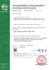 ISO14001 certificate from HEFEI TELIJIE SANITARY MATERIAL CO., LTD.