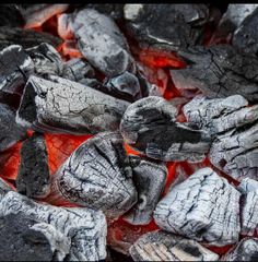 Premium Bbq charcoal - Image 2