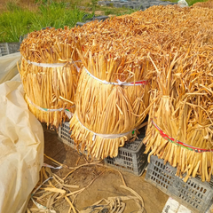 Dried Water Hyacinth Raw Material - Natural Fiber from Vietnam - Image 3