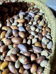 Nutmeg Form Uncut Freshness Level Dried Delivery Form Other, Package Features Fair Trade, Organic, Without Additives, Without Colourants, Without Flavor Enhancers - Image 3