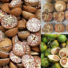 Vietnam Betel Nut - Bulk Supply Best price Free tax – product photo 3, product detail gallery