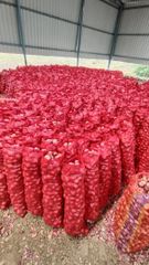 fresh indian onion (nashik) – product photo 3, product detail gallery