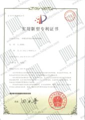 FULLY LETTERS PATENT certificate from Fully Cosmetic (GZ) Co., Limited