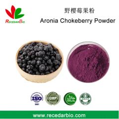 Natural Aronia Chokeberry Fruit Powder Juice Powder - Image 1