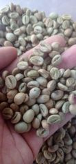 Java Arabica Green Beans Coffee G1 - Premium – product photo 2, product detail gallery