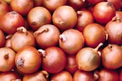 Shallots Flavor Rich Shelf Life Long Quality Consistent Grade Export Quality Place of Origin Myanmar Growth Method Naturally Grown - Image 2