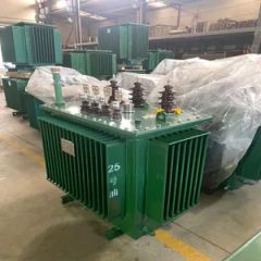 10kv S22-M Copper Winding Oil Immersed Transformer Brand Gyb Origin China Trademark GYB Shape of Core U No-Load Loss - Guangzhou Yibian Electrical Equipment Co., Ltd.