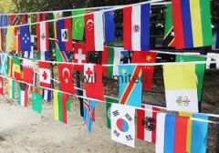 Polyester Decorative National String Bunting Flags Custom Banner - Image 2