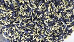 Butterfly Pea Origin Indonesia Features Organic Product Type Spices, Seasonings & Flavors - Image 3