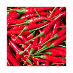 High quality Fresh Red Chili bulk supply cheap price fast delivery - Image 4
