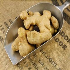 Ginger Factory Offers Wholesale of Low-priced and High-quality in Large Quantities For Sale - Image 1