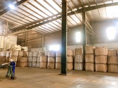 VIETNAM ROBUSTA COFFEE GRADE 1 S16 & S18 – product photo 4, product detail gallery