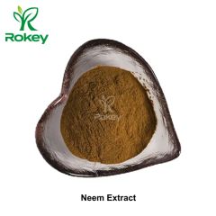 Pure Potent Natural Support for Wellness Vitality Neem Extract Powder - Changsha Rokey Biotechnology Co., Ltd.