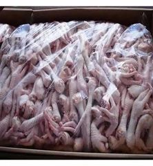 Clean Fresh Frozen Chicken Feet and Chicken Paws for Wholesale - Image 2