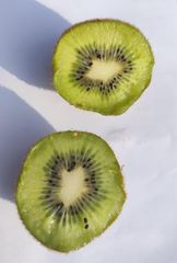 Kiwi - Image 1