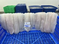Hanafish frozen Pangasius - Image 3