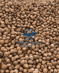 coconut mature / coconut old /semi husk coconut Color Brown Taste Coconut milk Shape good symmetric Ingredients 100% - Image 4