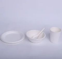 Disposable Tableware Meal Box Bowl Origin China OEM Avaliable Model NO. P-1 Shape Customize Color Customize Certification - Image 2