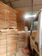Acacia peeled veneer - Image 4