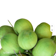 V.Kaus Vietnam Agriculture Sweet Young Green 0.8-1.2kg with Whole Husk Supply Wholesale 100% Fresh Coconut Water - Image 3