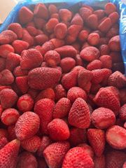 IQF (Individually Quick Frozen) whole strawberry Uncalibrated - 0,400kg/1kg/2,5kg and 10kg bulk packaging / EGYPT – product photo 2, product detail gallery