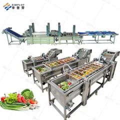 Commercial Fruit Vegetable Processing Line Bubble Washing Drying Sorting Machine for Mango Avocado Date Orange Lemon - Image 2