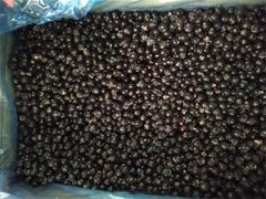 Frozen Blackcurrant Fruit Size 8-16mm Style FROZEN Address CHINA Weight (kg) 10 Packaging Bulk Content FROZEN Ingredients - Image 4