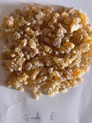 Premium Frankincense(gum olibanum) Supply– Direct Export - Image 1