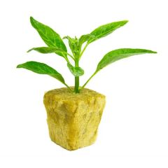 Wholesale Price Hydroponics 5X5X4cm Rock Wool Manufacturer Size Large Color Beige Trademark G&N Density 80kg/M3 Manufacturer - Image 1