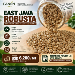 East Java Robusta Green Coffee Bean - Premium Quality - Image 1