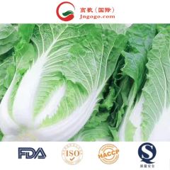 Delicious Frozen Chinese Cabbage Size 1.5kg Kind Fresh Color Green Origin China Trademark GOGO HS Code 0706100001 Storage Method - Image 6