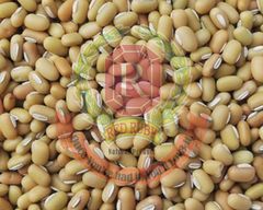 Yellow Bamboo Beans Size 5 Grade A Style Dried Packaging Bulk Weight (kg) 25 Drying Process AD Place of Origin Myanmar Ingredients Bamboo - Image 1