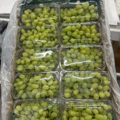 CLASS 1 Export Quality White Thompson Seedless Grapes from South Africa! NEW CROPS!! - Image 4