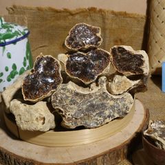 Damar Resin - Image 2