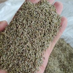 Egyptian Aniseed (Pimpinella anisum) Whole Seeds - Premium Export Quality - Image 1