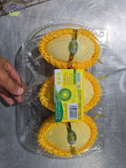 Vietnam Fresh Cat Chu Mango – Premium Export Quality | GAP-Certified Vietnamese Mango Supplier – product photo 4, product detail gallery