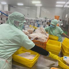 Best price in 2023 for Frozen pangasius fish fillet | Basa fish fillets with 100% guarantee of quality from Tanis Imex Co., Ltd - Image 3