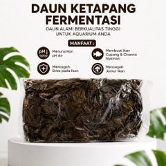 Dried Catappa Leaves Grade A+ - Image 1