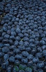 Dried Prunes – product photo 4, product detail gallery