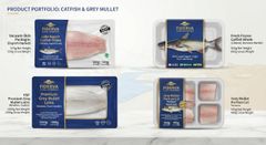Frozen Mackerel, Frozen Tilapia, Frozen Catfish, Frozen Horse mackerel, Frozen sardine, Frozen Herring, Frozen Cra - Image 1