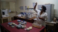 Ayurvedic Products Testing Services Duration 3 Days Service Mode Offline Report Soft And Hard Copy Service Location Pan - Image 1