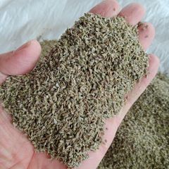Egyptian Aniseed (Pimpinella anisum) Whole Seeds - Premium Export Quality - Image 2