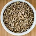 Premium Quality Cumin Seeds of Singapore 99 Quality - Image 4