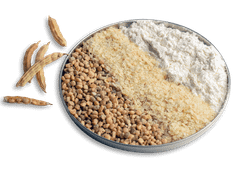 Food Grade Guar Gum E412 – European Supply - Image 1
