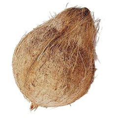 Premium Quality - Semi husked Coconut - Export Quality - for Global Wholesale buyers – product photo 2, product detail gallery
