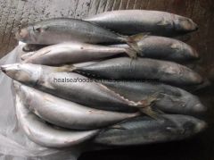 Frozen Chub Mackerel /Pacific Mackerel Resource Wild G.W. 10kgs/CTN N.W. 9.5kgs/CTN HS Code 03035400 Trademark healsea Model NO. - Image 6